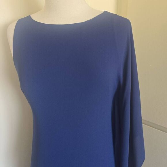 BCBGMaxAzria Janus Classic Navy One Shoulder Column Dress, Flutter Slv, EUC, S.4 - Picture 4 of 11